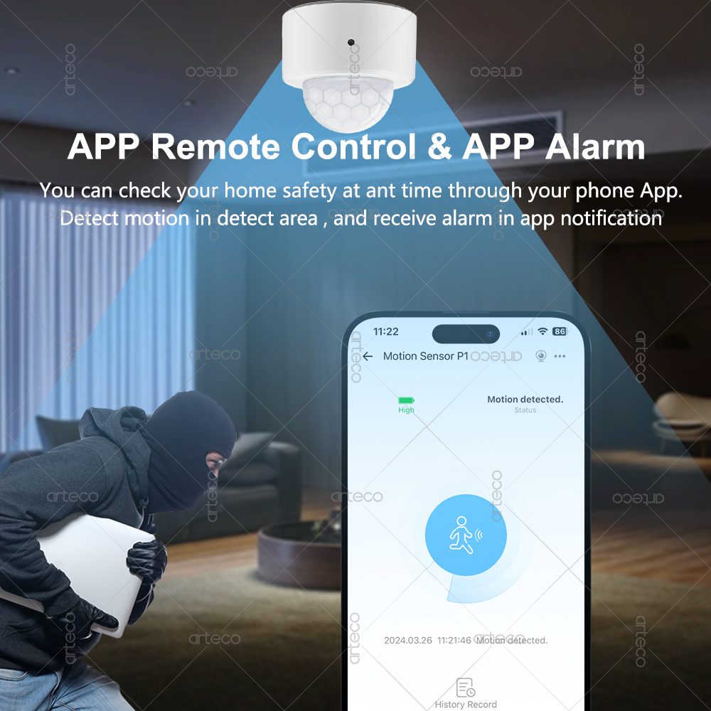Ewelink Zigbee PIR Motion Sens - Smart Home Google Assistant recension och pris