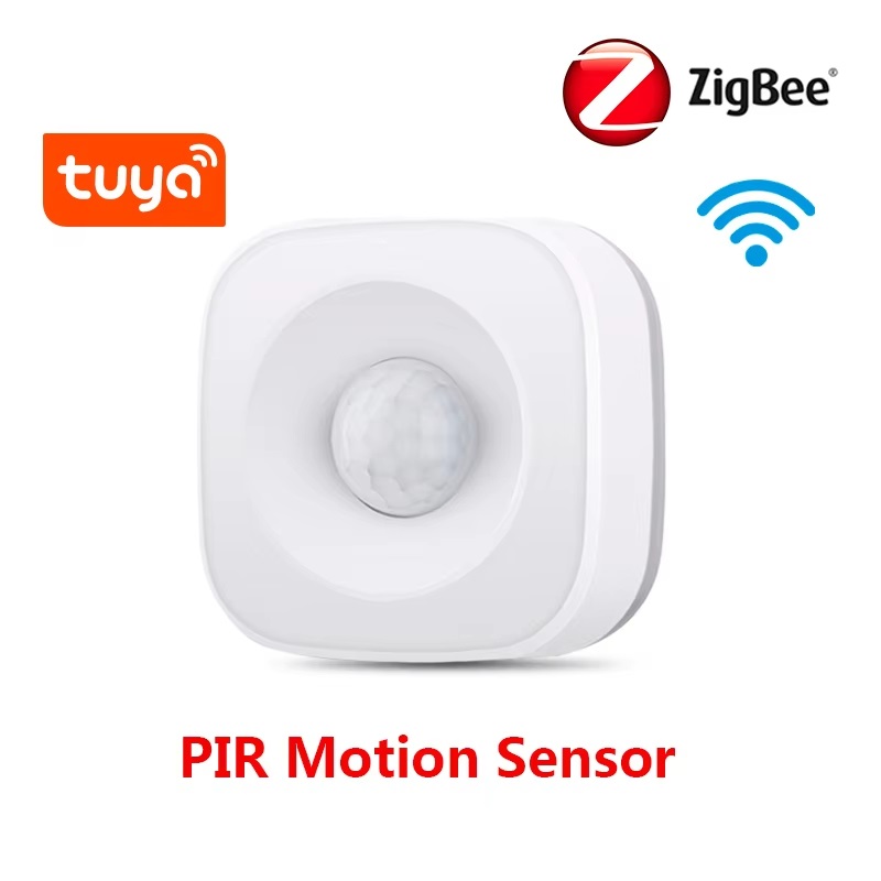 Tuya ZigBee/WiFi PIR Motion Se - Smart Home Google Assistant recension och pris